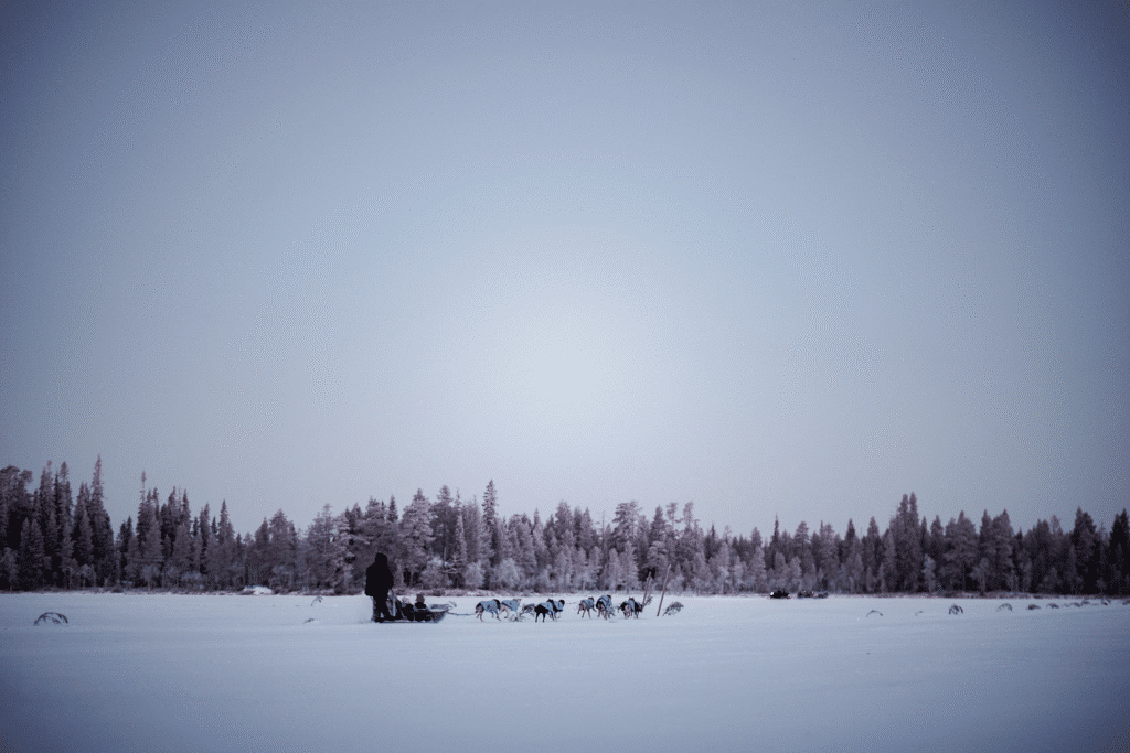 Husky ride in Santa's world, Ruka-Kuusamo