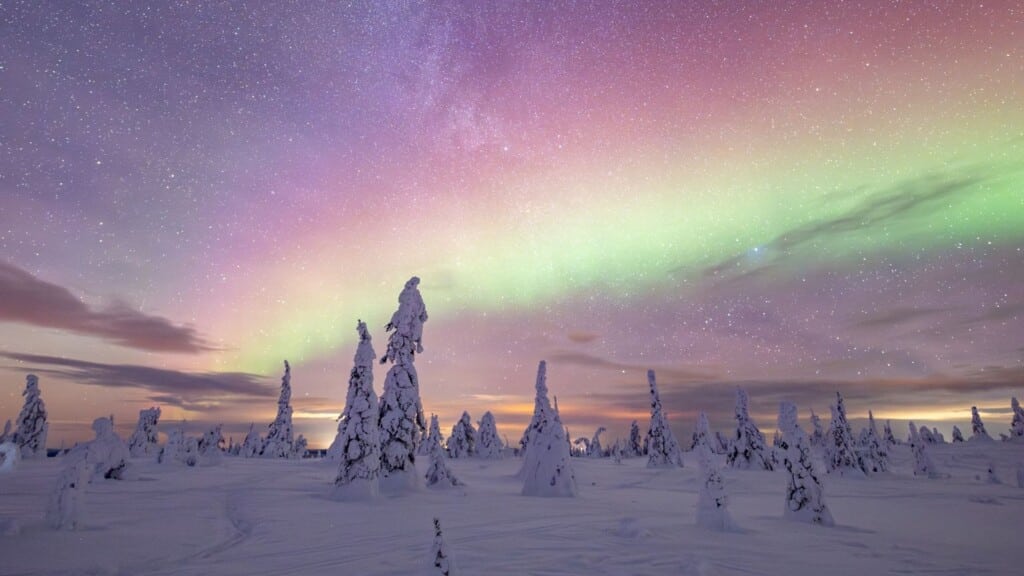 Tailored Adventures Rukapalvelu is local DMC in Ruka-Kuusamo Farnorth Finland