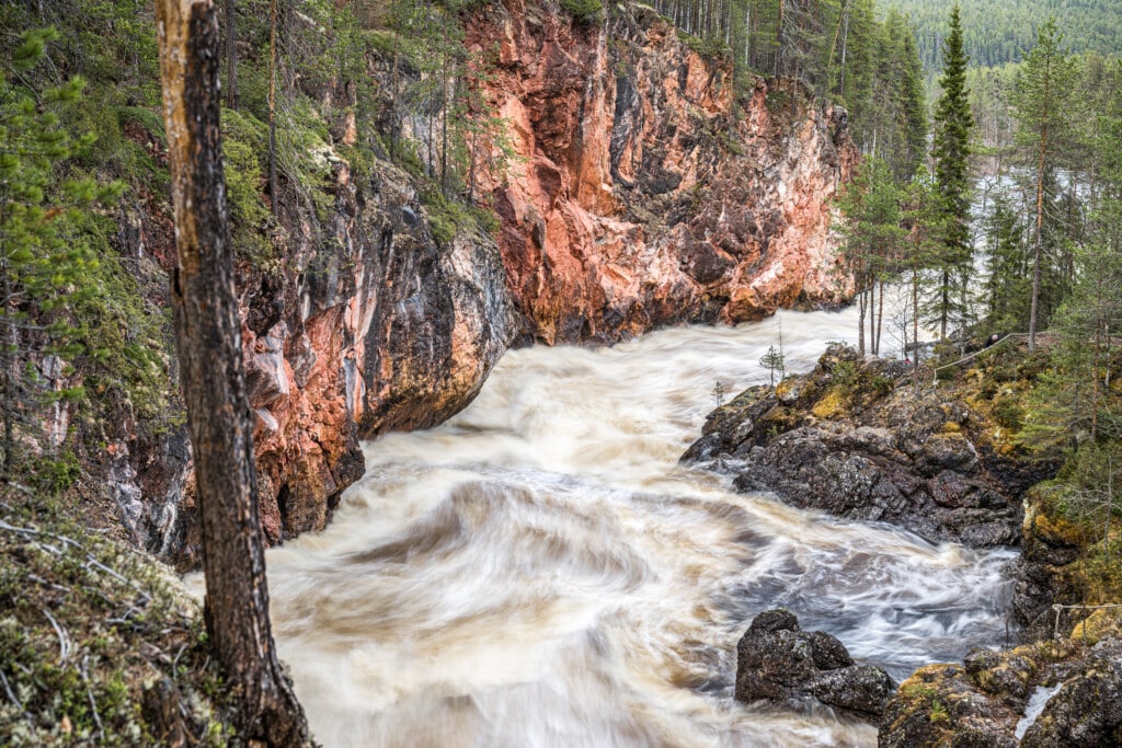 Kiutaköngäs rapids flowing through a rocky gorge in Oulanka National Park near Kuusamo, Finland, surrounded by forest.
