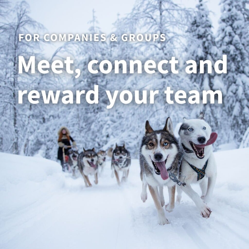 For companies & groups:

Meet, connect and reward your team