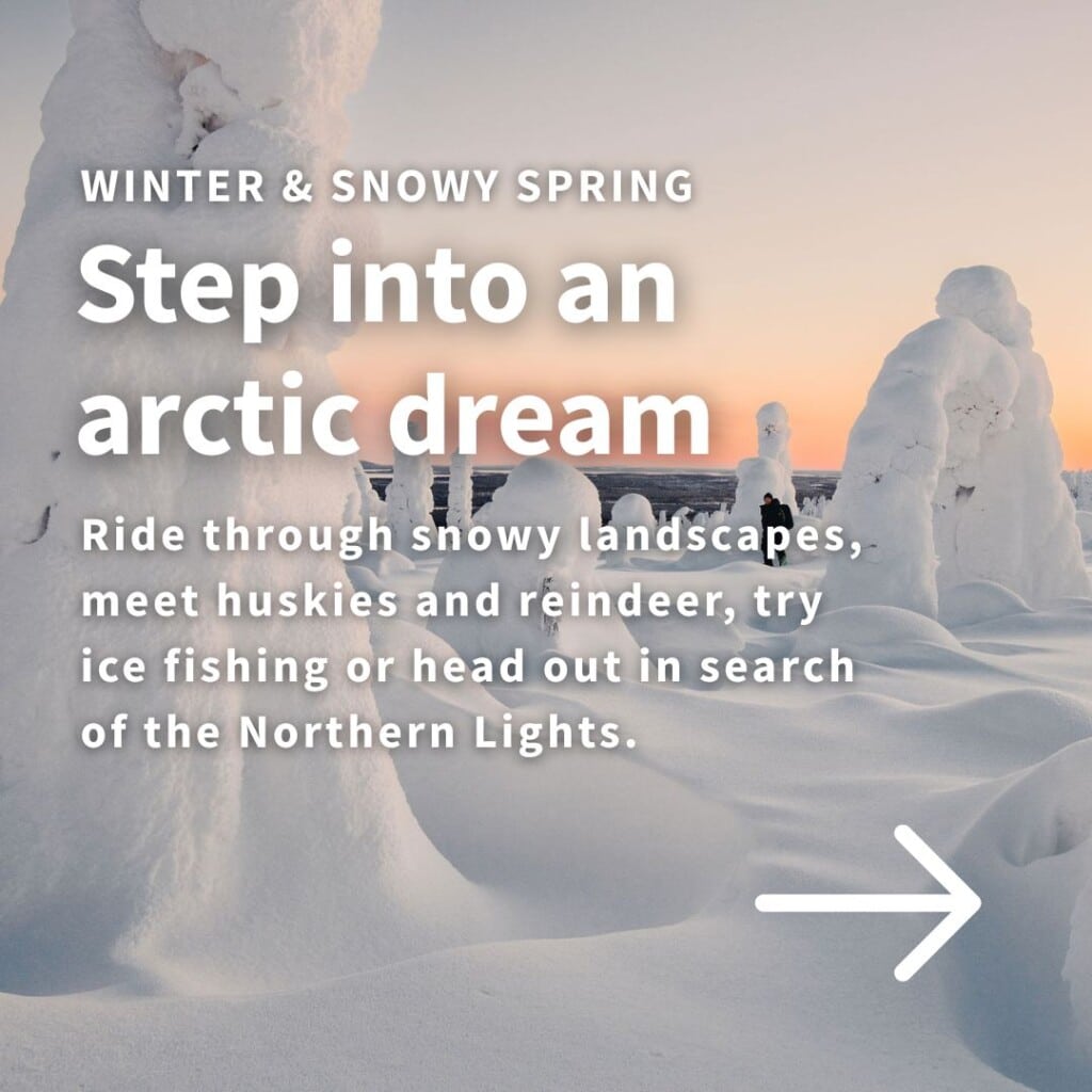 WINTER & SNOWY SPRING

Step into a northern winter

Ride through snowy landscapes, meet huskies and reindeer, try ice fishing or head out in search of the Northern Lights. Warm up afterwards with a fireside meal or a Finnish sauna.

Explore winter activities & the weekly programme →